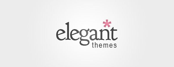 theprofessional - by Elegant Themes
