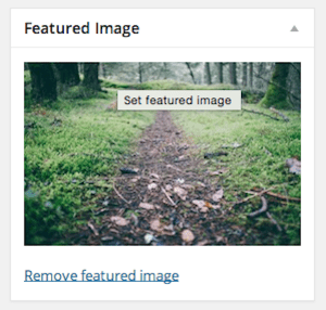 feature-image