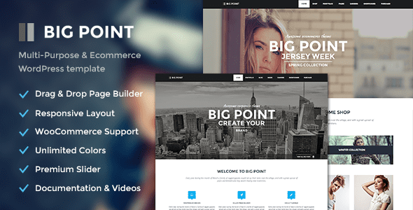 BigPoint: A WooCommerce theme for wordpress