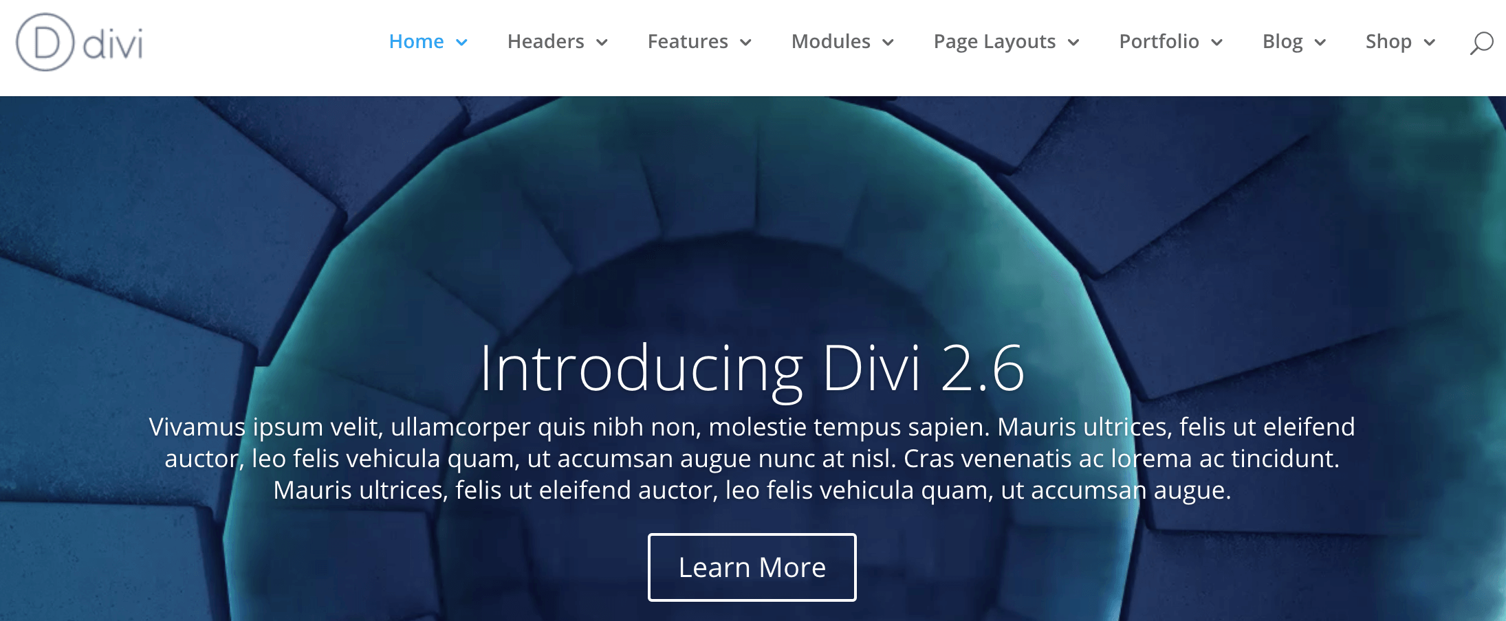 A screenshot of the official Divi header.