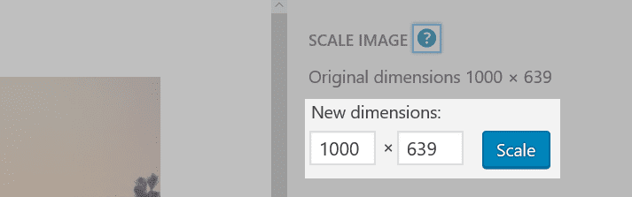 Part of the Edit Image screen with the New dimensions section highlighted