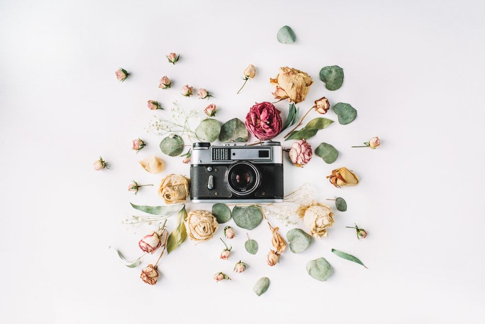 A centered camera with a spray of flowers surrounding it