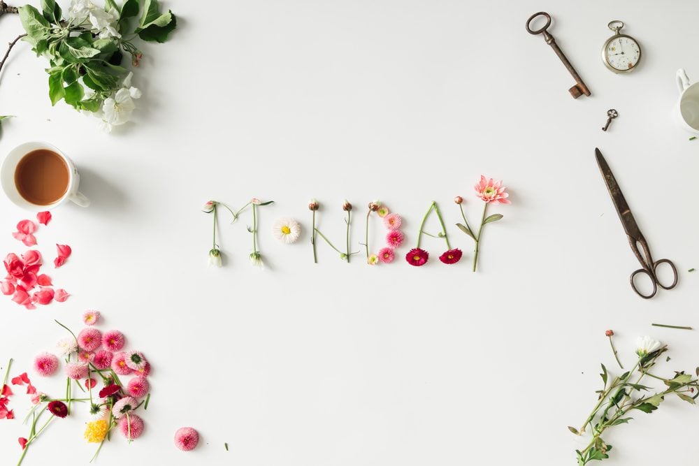 Flowers spelling out "Monday" on a white background