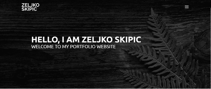 Zeljko-Skipic.png