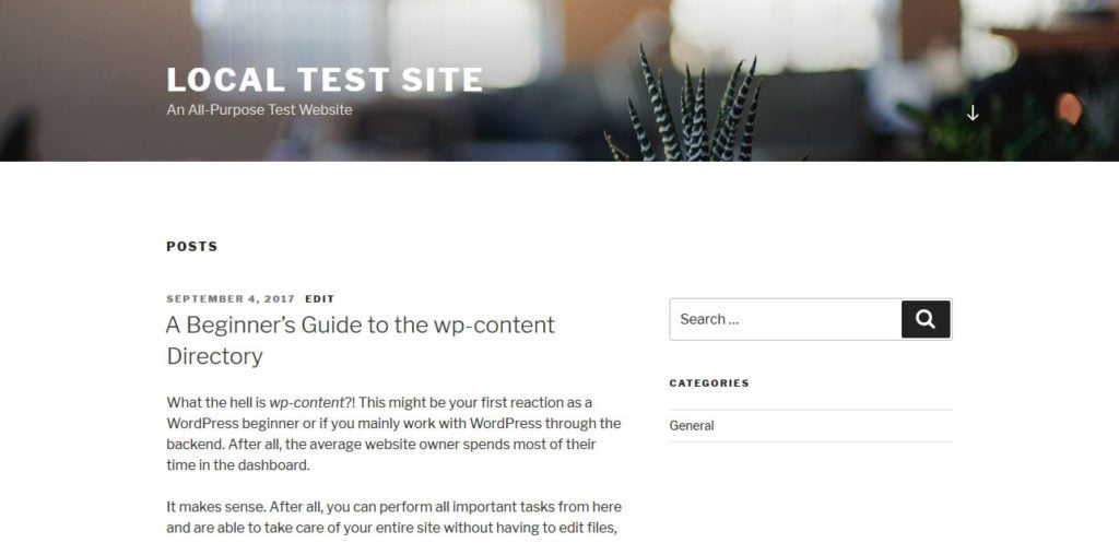 local test site to test wp-content